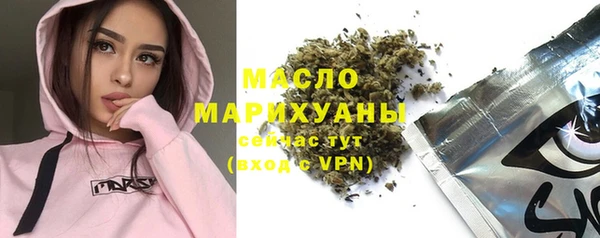 дмт Ельня