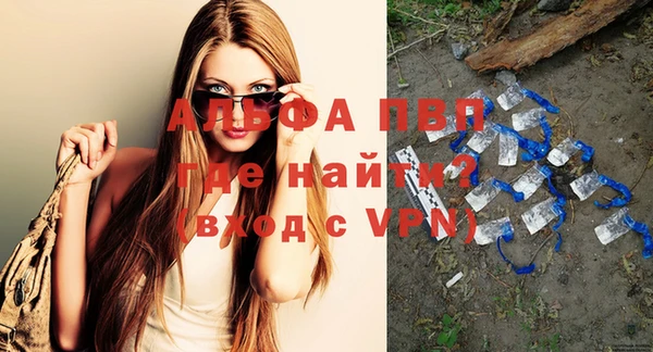 дмт Ельня