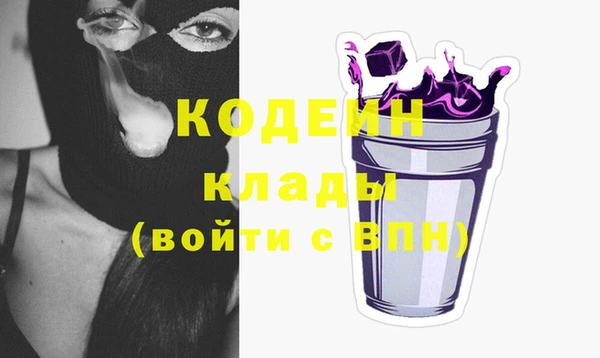 дмт Ельня