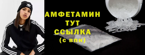 PSILOCYBIN Елабуга