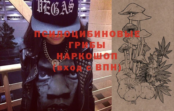 PSILOCYBIN Елабуга