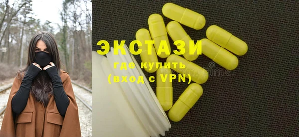 дмт Ельня