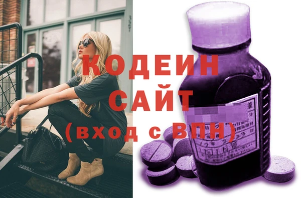 дмт Ельня