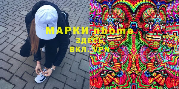 PSILOCYBIN Елабуга