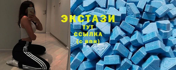 дмт Ельня