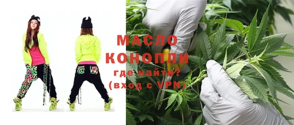 дмт Ельня