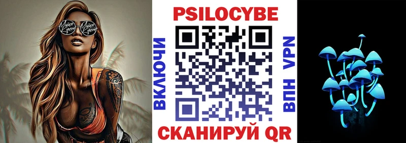 Купить где  Новоалтайск  Галлюциногенные грибы Psilocybe 