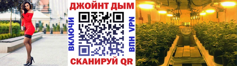 Купить где Новоалтайск Бошки марихуана Amnesia